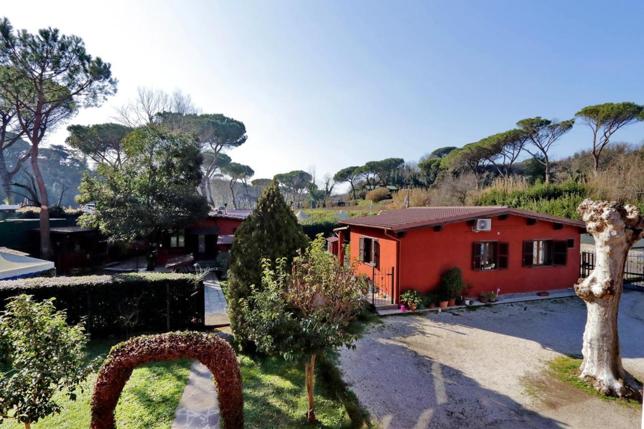 Antico Platano Bed & Breakfast Rome Luaran gambar
